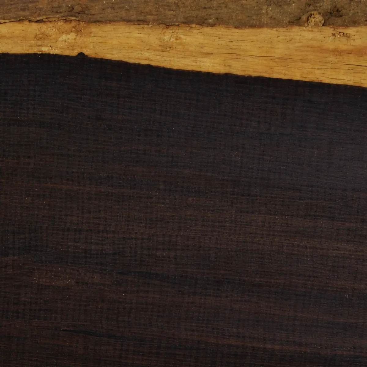 African Blackwood Soarsil