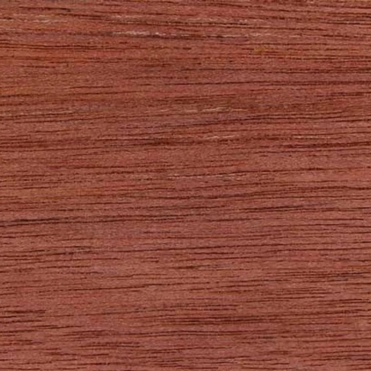 Meranti Soarsil