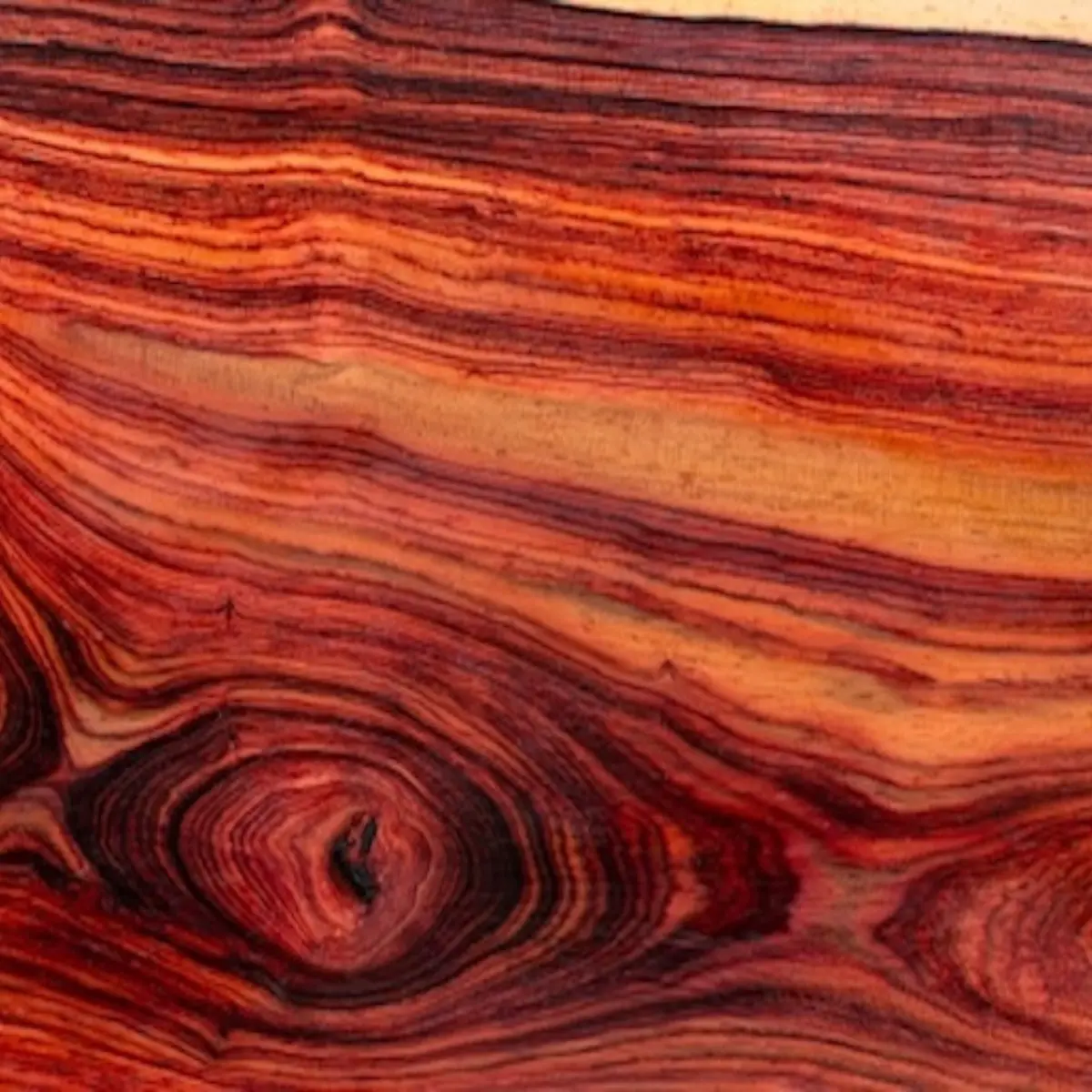 Rosewood Soarsil
